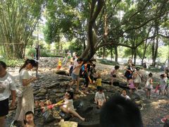 -成都市活水公园