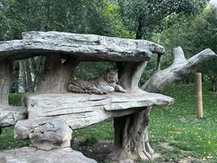 -北京野生动物园