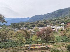 -塔川景区