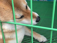 -三旗百汇商品城