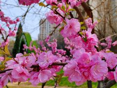 -塘沽站