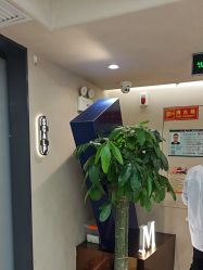 -木北造型