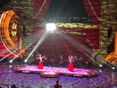 -珠海横琴长隆《卡卡虎奇遇记》