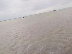 -大湾区中央湿地公园