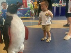 -芜湖新华联大白鲸海洋公园