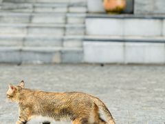 -22ºN BISTRO西餐&酒馆