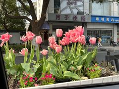-维也纳国际酒店·苏州观前街平江路察院场地铁站店
