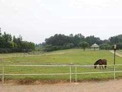 -保利石象湖景区