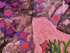 -沈阳海洋探索中心