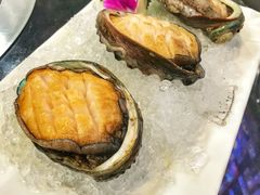 鲍鱼-港迹·鲜围煮海鲜火锅(湖州时代广场店)