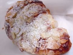 -Madeleine玛德琳(永平里店)