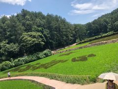 -韶山毛泽东同志故居