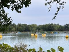 -朝阳公园游乐园