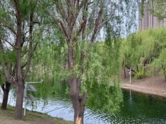 -长春公园(普阳街道)