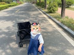 -洨河生态公园