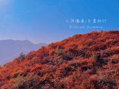 -周口店坡峰岭风景区