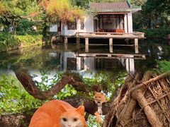 -广州兰圃