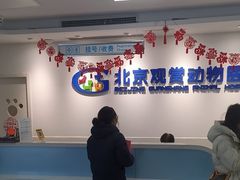 -北京观赏动物医院·24小时大型综合·猫专科·异宠专科