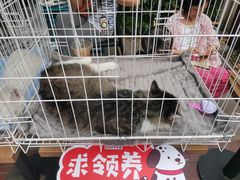 -COSTA COFFEE(上海虹口公园店)