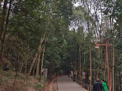-成都老君山