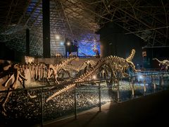 -世界恐龙谷景区