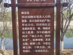 -桃花堤公园