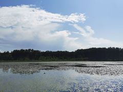 -塞罕坝国家级自然保护区