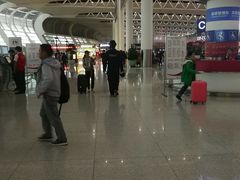 -合肥新桥国际机场-航站楼