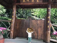 -秀丽东方