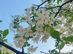 -大蜀山国家森林公园