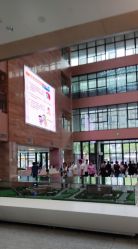 -福建省妇幼保健院(道山路院区)