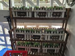 -菌极鲜野生菌火锅店(阳明祠店)