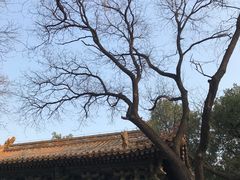 -北京国子监胡同