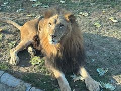 -北京野生动物园