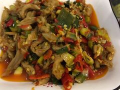 鸭掌筋-壹盏灯(惠农店)