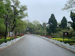 -青岛德国总督楼旧址博物馆