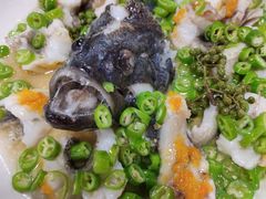 青青椒麻蒸鱼-舒味姜母鸭·沙茶面(湖里店)