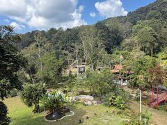 -清迈丛林飞跃 JungleFlight