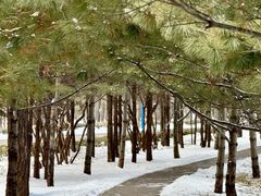 -森林公园(尖草坪区)