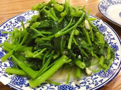 -西北狼(GOGO新天地店)