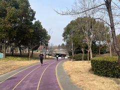 -尚贤河湿地
