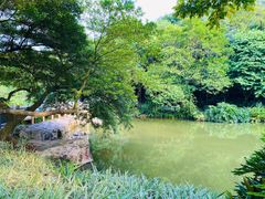-云溪植物园