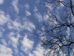 -神光山国家森林公园