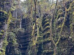 -梭布垭石林景区