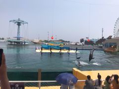 -秦皇岛乐岛海洋王国