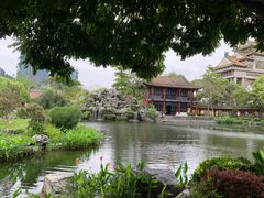 -顺峰山公园
