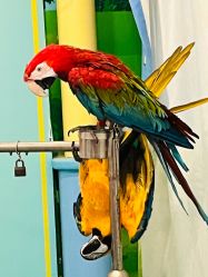 -酷嗒动物文化乐园(cutezoo西溪乐天城店)