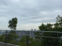 -板樟山森林公园