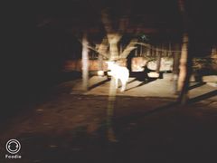 -清迈夜间动物园
