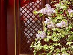 -天津市峰山药王古寺